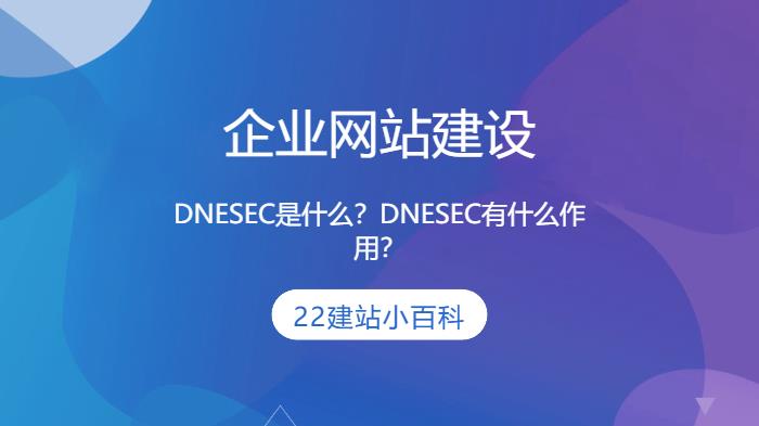 DNESEC是什么